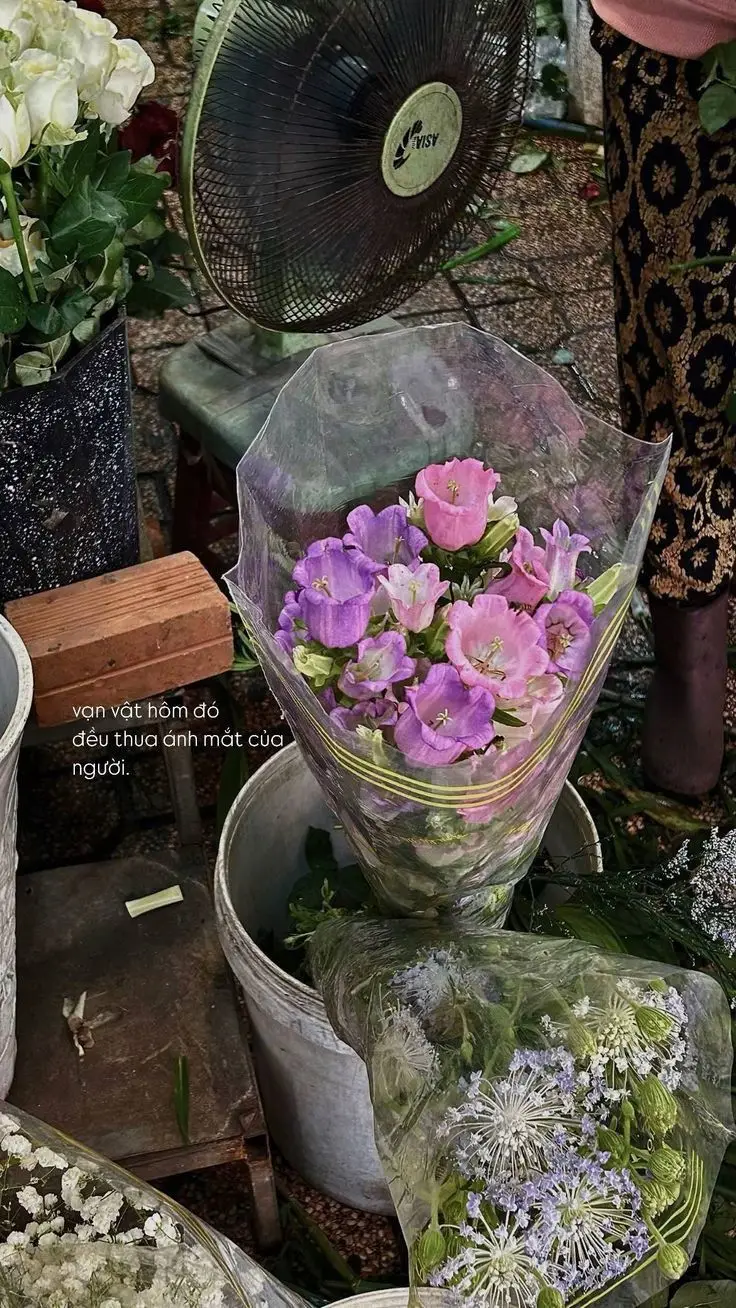 #tamtrang #xh #xh #xh #xh 