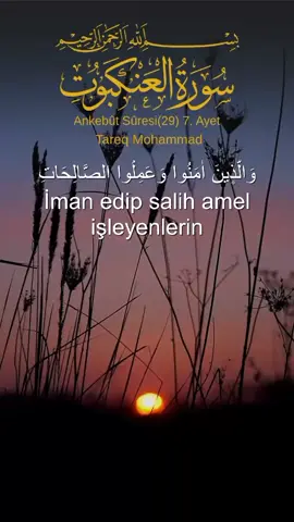 Ankebût Sûresi 7. Ayet #kuranyurdu #kurandinlee #ayet #quran #kuranıkerim🕋🕊🕋 