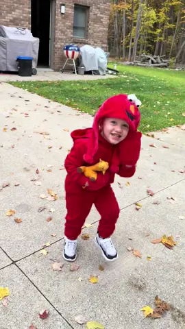 Happy Halloween! #sesamestreet #familycostume #familyof4 #happyhalloween #costume 