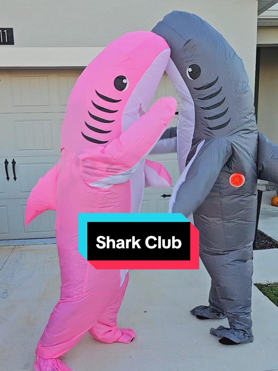There's only room for one shark in this coral reef! #halloweencostume #halloween2025 