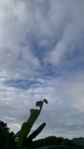 Anh sẽ ko bảo giờ trách em đâu 🙃😆#xu #xuhuongtik 