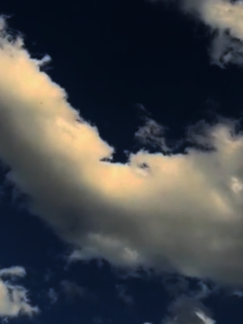 #عبارات #فخمه #للعقول_الراقية_فقط #foryoupage #fy 