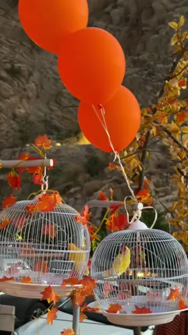 خريف منتجع غزال بالطايف🍁🍂#كافيهات_الطايف #الخريف #اكسبلور #الطايف #viral 