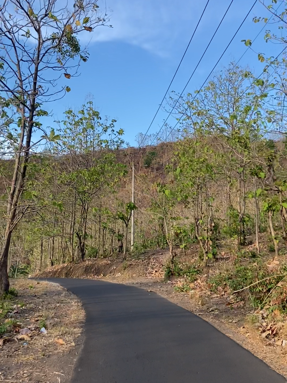 ngalas🍂 ada yg tau ini dimana?  #situbondo #pesonasitubondo_id #situbondojawatimur 