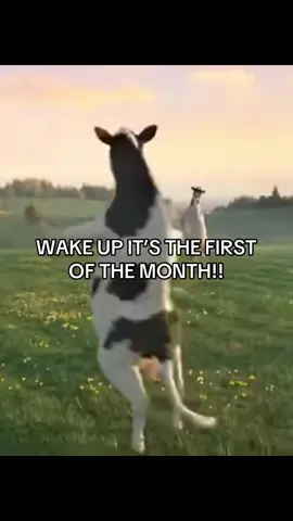 #firstofthemonth #fyp #november1st 