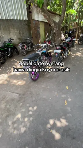 moso ga pengen 🥹 @TIGER DOYONG🥷 #glkotak #glbucin #tiger #herexjatim #fyppppppppppppppppppppppp 