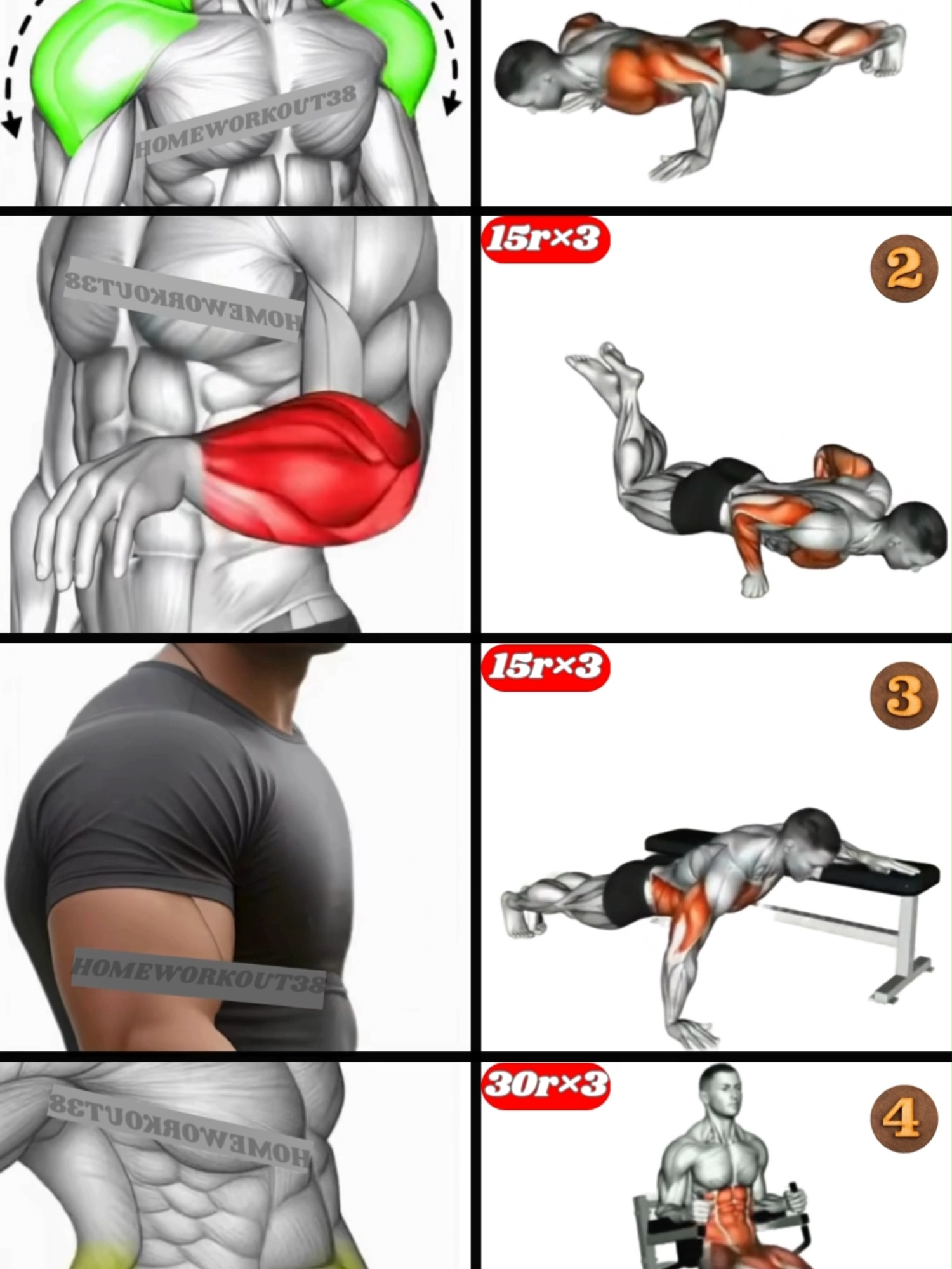 HOME WORKOUT.#GymTok #muscle #exercise #Fitness #workout #workoutroutine #workouttips #fit #fitnesstips #motivation #workoutmotivaton #homeworkout