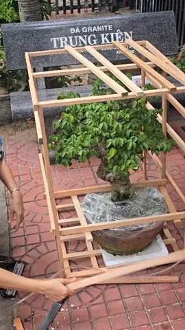 kịp chuyến xe về Chủ mới!