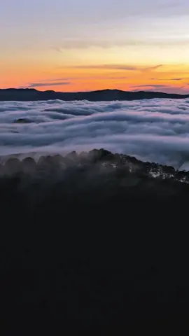 Ngắm lễ hội mây Đà Lạt cả nhà ơi 😀😀😀😀#djimavic4pro #fyp #foryou 