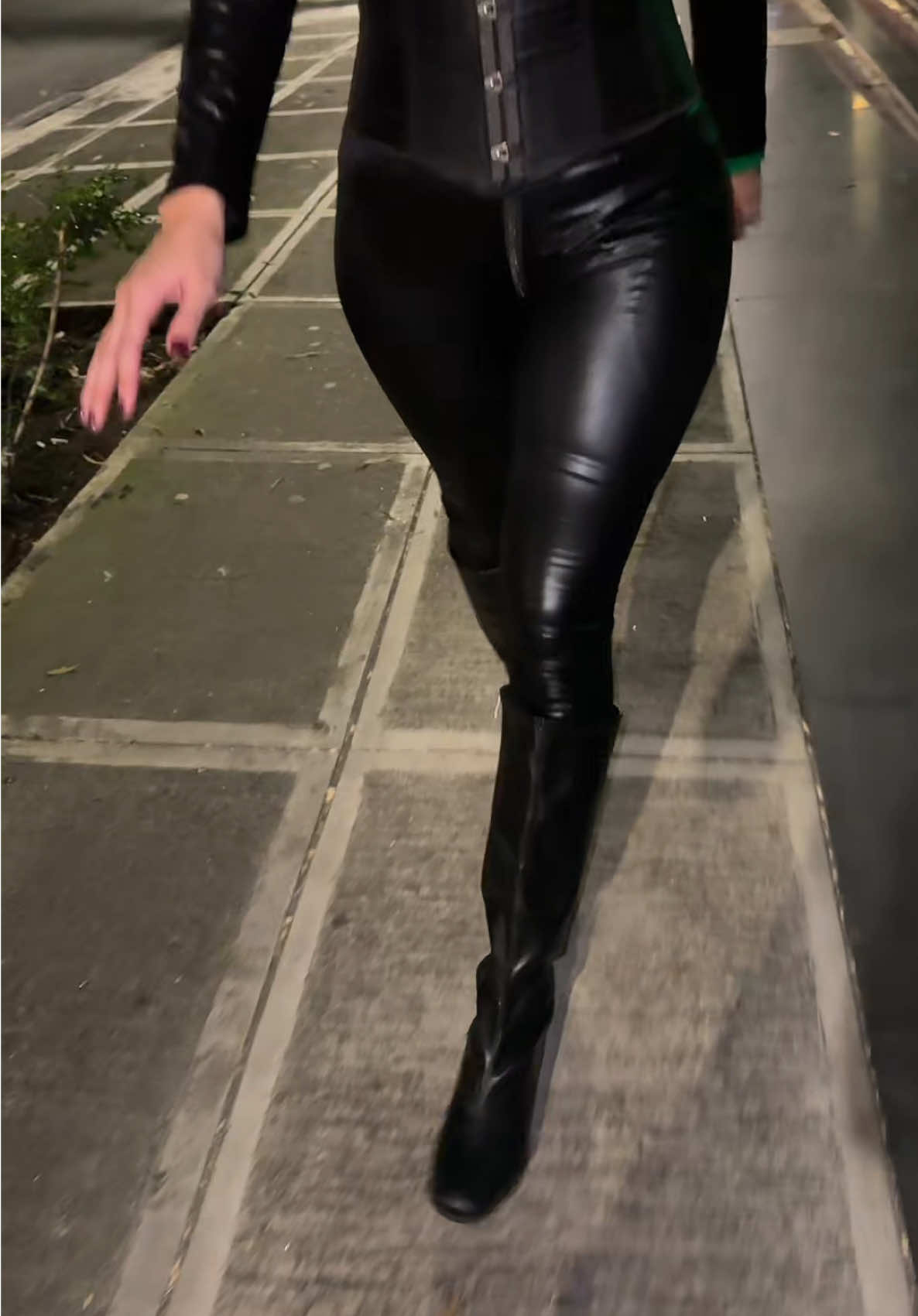 Cat Woman X Poison Ivy 🐈‍⬛🌿 @Chesca 