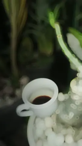 #สตอรี่ความรู้สึก #CapCut  #คุณนายหวัง🦀 