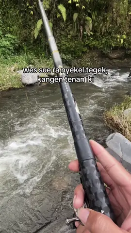 Infokan spot gacor mu cah🙌 #microfishing #rasbora #mancing #fyp #mancingmania 