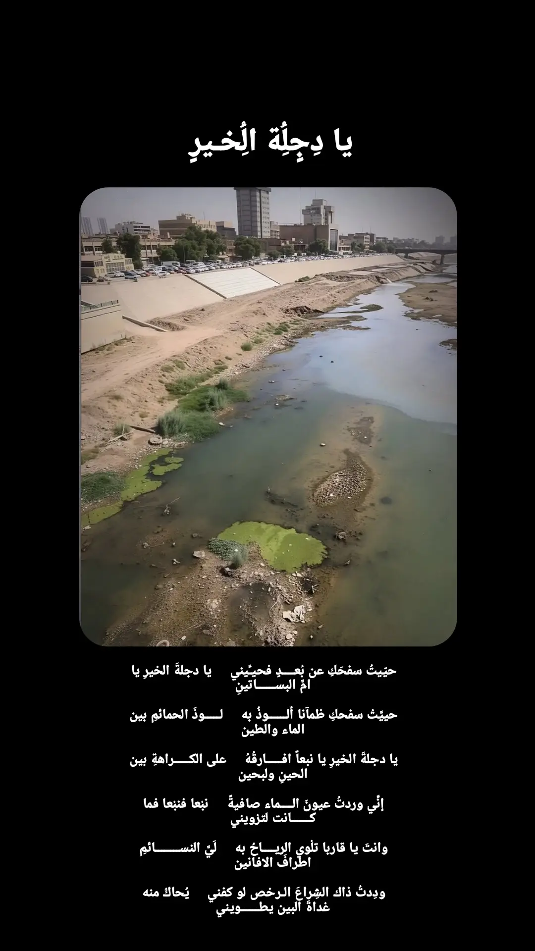 #محمد #الجواهري #دجله #شعب_الصيني_ماله_حل😂😂 