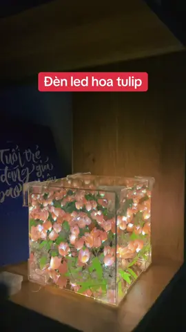 Đèn led hoa tulip🌷.  #denled #denledtrangtri #denledthongminh  #xuhuong #vairal 