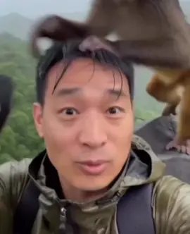 Flying monkey #monkey #flying #viral #funny #wtf