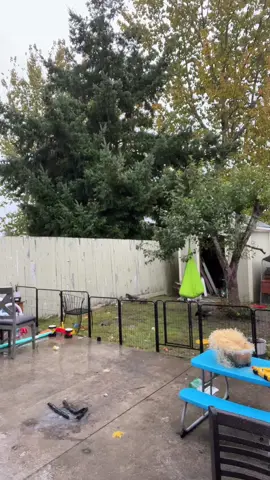 Did I get the mood right ?