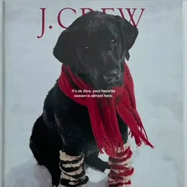 your favorite season is almost here! (1stOfNov-31stOfDec) #christmas #moodboard #targetaudience #oldmoney #blowthisup ❤️🎅🏼