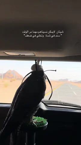 #fyp #اكسبلور #عشوائيات 