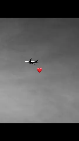 #nelsonvelasquezvallenato #vallenato 