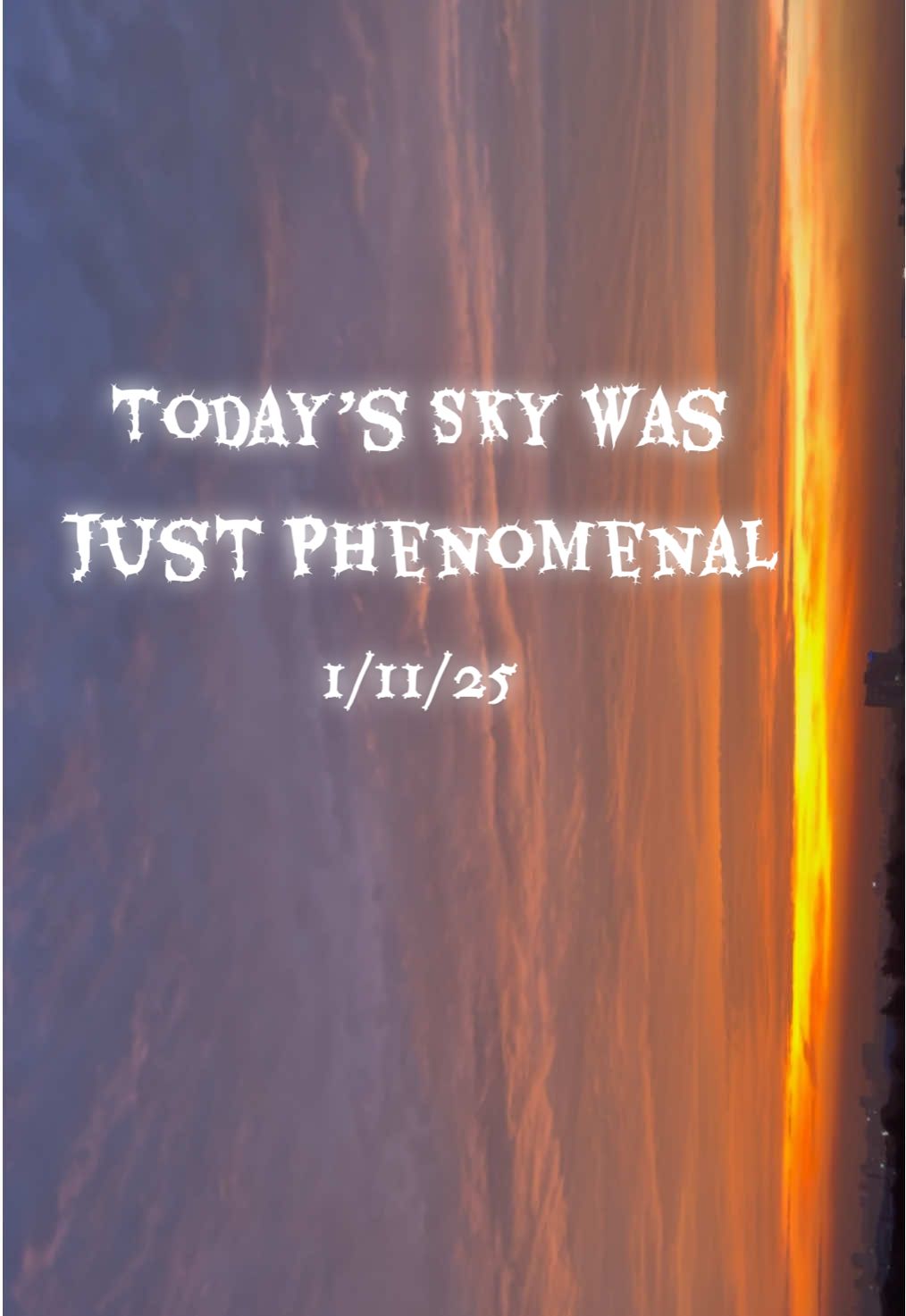 Little eyes, big wonder today’s sky was just phenomenal ☀️🤍 1/11/25 #cat #cats #lovecatsoftiktok😻 #instacat #kitty                         