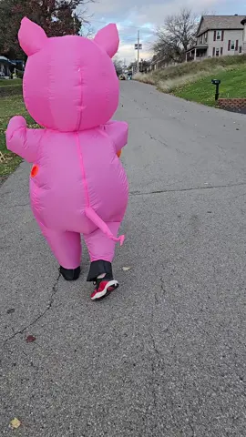 #halloween #trickortreat #piggy 