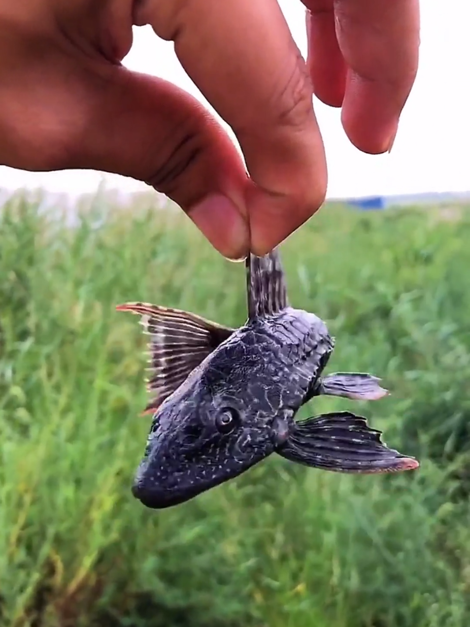 #food #fyp #spicy #mukbang #funny 