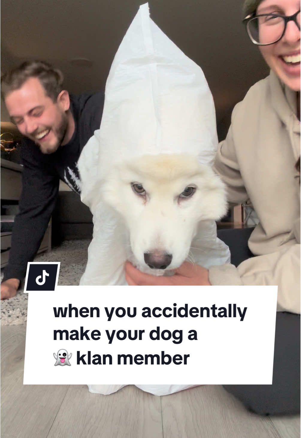 i just wanted to make her a ghost costume 💀 #halloween #halloweencostume #dogcostume #halloweendogcostume #halloweenfail 