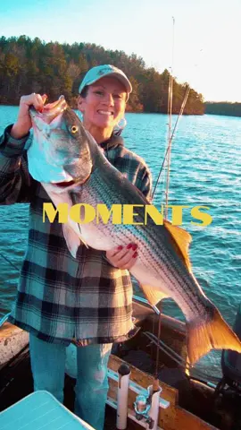 #striperfishing #stripedbassfishing #fishing #fyp #itsjustmekimberlystudios 