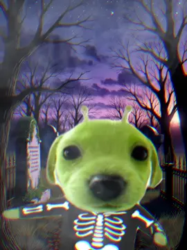 Happy Halloween! 🎃💀👻👽💚 #gogthealiendog #halloween #spookyseason #spookyscaryskeletons #fyp 