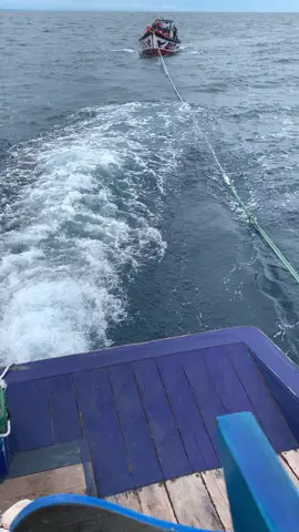 Cuol #fyppppppppppppppppppppppp #trenggalek24jam #foryoupage 