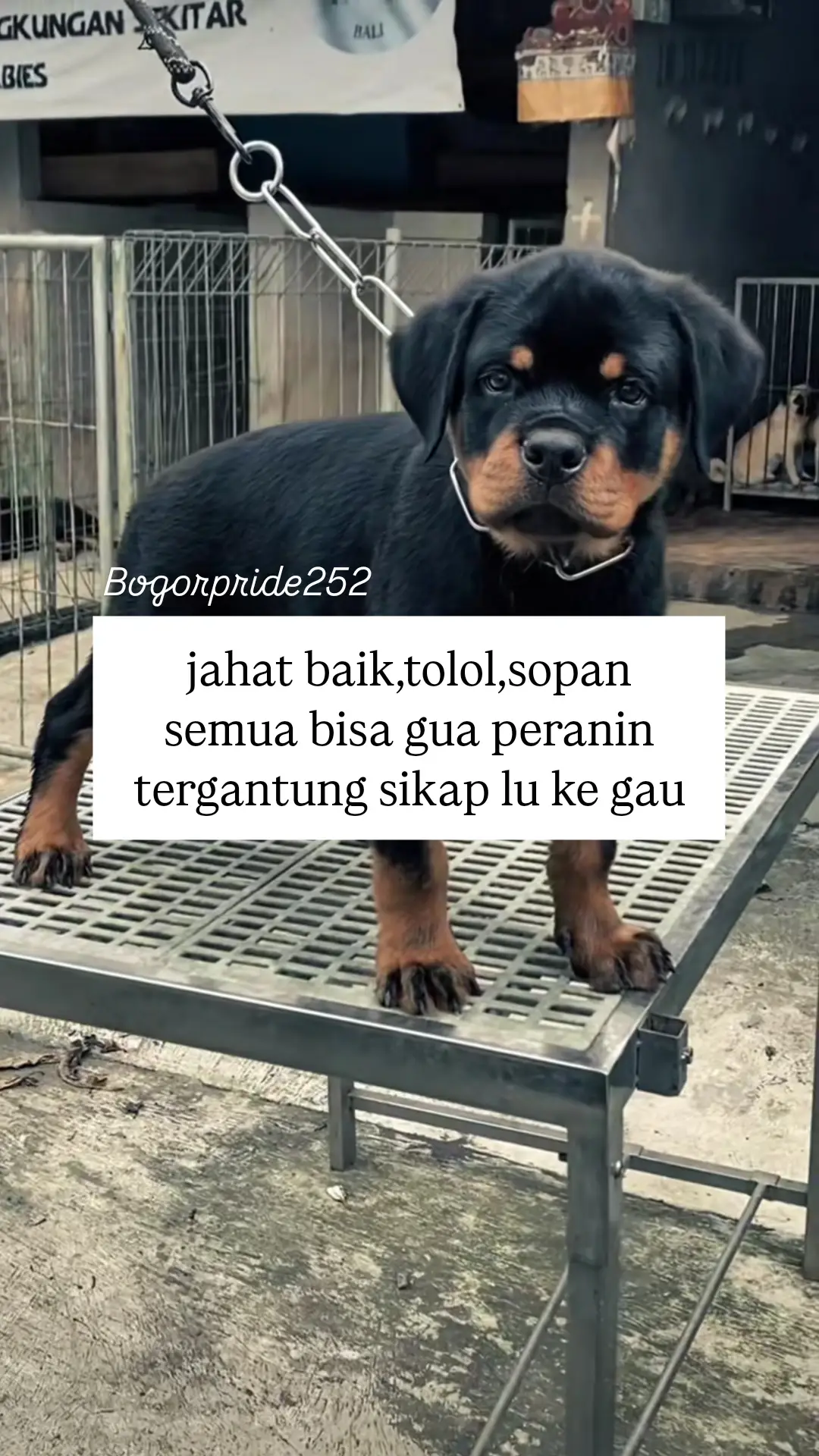 #bogorpride🔥 #withyou #foryoupage #storykatakata #bogorpisan 