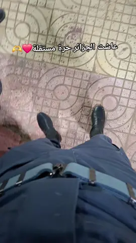 #الشعب_الصيني_ماله_حل😂😂 #الجلفة_المسيلة_بوسعادة_وتحيا48_ولاية #algeria 