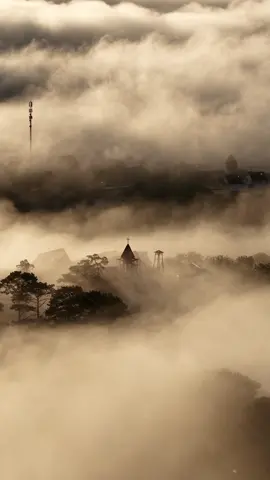 Có ai thắng đời đi Đà Lạt ngay lầm đầu đã săn mây thành công #DalatCham #doimaydalat 