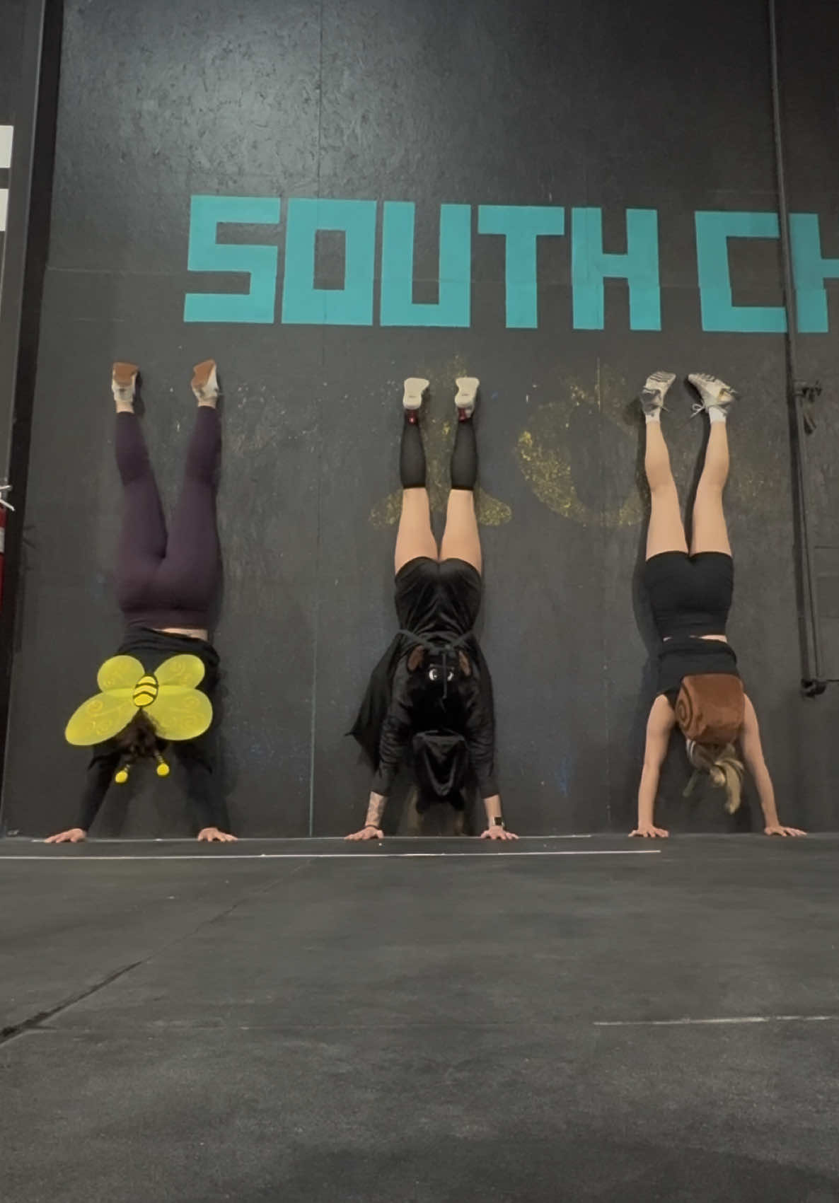 A bee, a bat, and a snail walk into a wall… 🐝🦇🐌 #crossfit #halloween #wallwalks #handstandhold #skillwork 