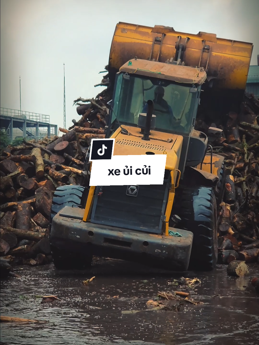 nhìn anh vậy thôi chứ anh còn khỏe lắm #xcmg #cogioi #huydaden #huyden #xuclat 