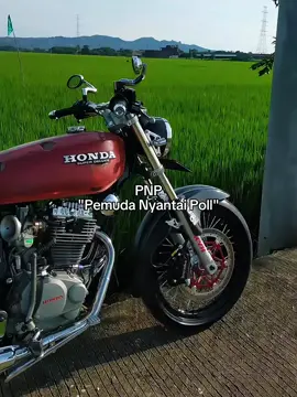 sess oye😎👌🤟 #glcepekhits #kudus24jam #glcepekreborn #cepekgank🤙🏻 #fyp 