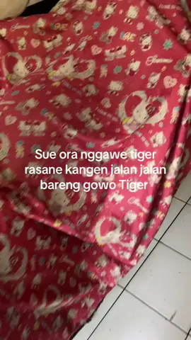 Mbien pingin tak rewangi gak karuan perjuangane, saiki kyo bingung cah🥹 #fyp #tigergank #svardt106  