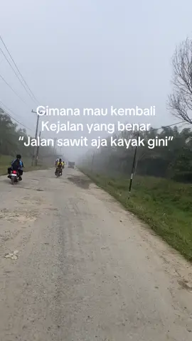 Berabu dah kalo terangan sikit.             #sawitontiktok #sawitseberang #langkat 