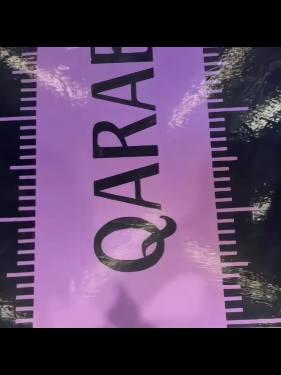 budu sabah klubunun bayquşdarı?😝 #kesfet #fyp #sabahfk #qarabağfk #futbol 