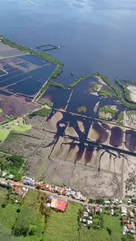This is the ethanol spill in Bais city and manjuyod Negros Oriental causing a massive environmental disaster. This area is beautiful reef and sandbar with crystal clear waters and an abundance of marine life. #ocean #fishinglife #distroyed #island  #islandofnegrosoriental this video is not mine owner -christopher Darza
