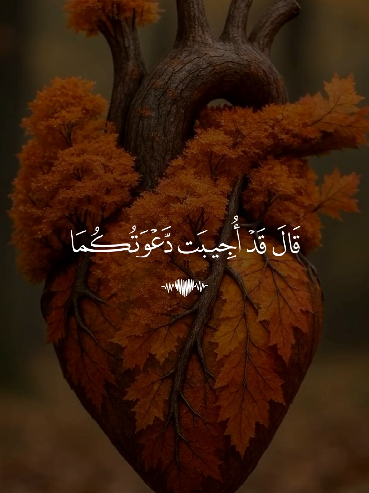 🕳️ تلاوة خاشعة بصوت القارئ ماهر المعيقلي سورة يونس  #تلاوة_خاشعة #قران #quran #fyp #foruyou 