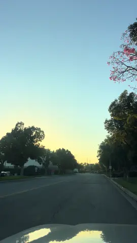 #LIVEIncentiveProgram #GoLIVEGrowFast #PaidPartnership 