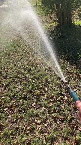 He’s no lab but loves water 🙄😂