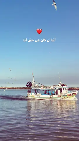 #ابووديع_سلطان_الطرب #چورچ_وسوف #1moouu☝🏻 #viralvideo #xplore 