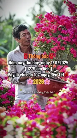 Xin chào tháng 11, hạn sử dụng năm 2025 còn 2 tháng nữa thôi..#tetnguyendan2026🧧🎆🧨 #CapCut #fyp #xuhuong #thinhhanh  
