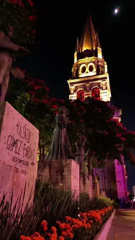 🏵️💀Día de Muertos Guadalajara💀🏵️🇲🇽#fyp #guadalajara #diademuertos #tradiciones #paratii 