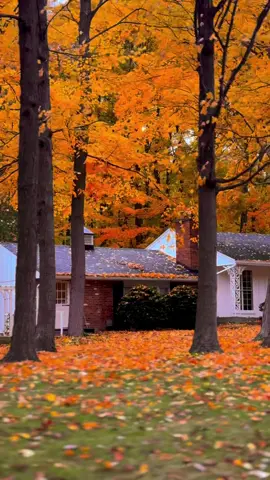 #autumn #autumnvibes #october #fallincanada #foryou 