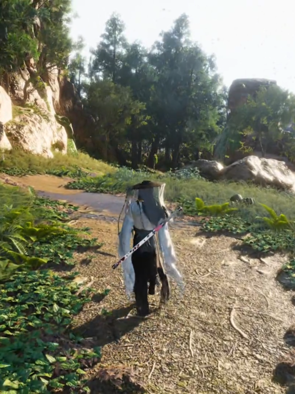 just a wanderer of scenery #wherewindsmeet #chinagame #openworldgame #donghua #mmorpg 