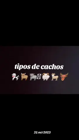 Tipo de cachos #cachudo #comedia #risas #fyp #infiel 