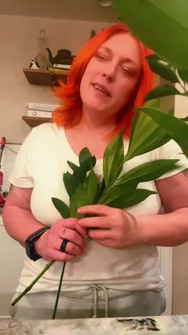 He’s fertilizing the garden, babe 🤪😂 #marriedaf #treehugger #greenthumb #compost @realdadaf 